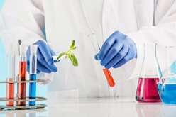 school of Allied Medical Sciences